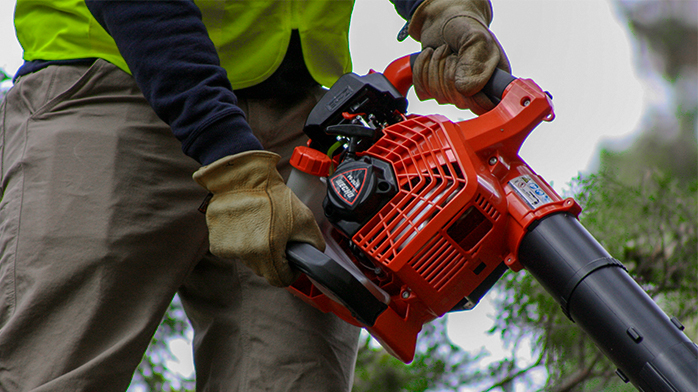 Alineación completa